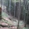 20121004_haselwald_f02_be_04.jpg