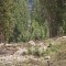 20130505-cra_2991_fp5_tal.jpg