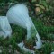 2002-08-28_v55-13_saat99.jpg