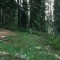 2002-08-02_v52-26-pt01.jpg