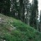 2002-08-02_v52-29-pt02.jpg