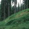 2002-08-02_v52-32-pt04.jpg
