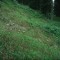 2002-08-02_v52-36-pt06.jpg