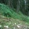 2002-08-02_v52-38-pt07.jpg