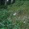 2002-08-02_v52-39-pt08a.jpg