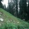 2002-08-28_v55-03-pt08b.jpg