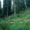 2002-08-28_v55-04-pt11b.jpg