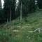 2002-08-28_v57-30-pt11b.jpg