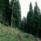 2002-08-28_v57-38-pt12.jpg