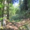 20170529_talwald_03.jpg
