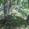 20170529_talwald_04.jpg
