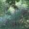 20170529_talwald_05.jpg