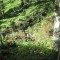 20170529_talwald_09.jpg