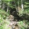 20170529_talwald_10.jpg