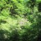 20170529_talwald_13.jpg