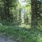 20170529_talwald_16.jpg