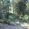 20170529_talwald_19.jpg