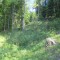 20170529_talwald_20.jpg