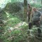 20170529_talwald_24a.jpg