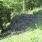 20170529_talwald_25.jpg