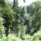 20090729_tellenbach_f5_be_08.jpg