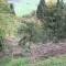 20071004_tellenbach_standort_f5_009.jpg