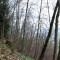 20080318_herderenwald_fsta3.1.JPG