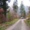 talwald16.10.08_1.jpg