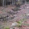 talwald16.10.08_13.jpg
