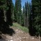 1996-09-17_p28-03-pt11.jpg
