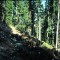 1996-09-17_p28-04-pt02.jpg