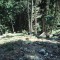 1996-09-17_p28-06-pt03.jpg