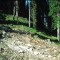 1996-09-17_p28-13-pt10.jpg
