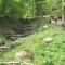 talwald_26.5.2010_13.jpg