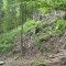 talwald_26.5.2010_5.jpg