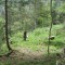 talwald_26.5.2010_6.jpg