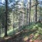20120727_talwald_18.jpg