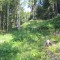 20120727_talwald_20.jpg