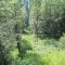 20120727_talwald_23.jpg