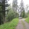 20120806_talwald_01.jpg