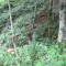 20120806_talwald_09.jpg