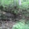 20120806_talwald_10.jpg