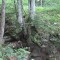20120806_talwald_11.jpg