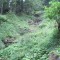 20120806_talwald_13.jpg