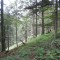 20120806_talwald_18.jpg