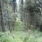 20120806_talwald_19.jpg