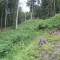 20120806_talwald_20.jpg