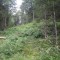 20120806_talwald_22a.jpg