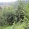 20120806_talwald_22h.jpg