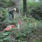 20120806_talwald_24a.jpg